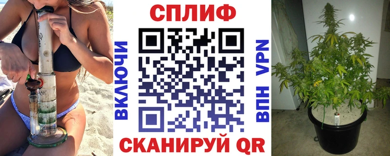 Купить закладку A-PVP МЕФ ГАШ Бошки Шишки Кунгур