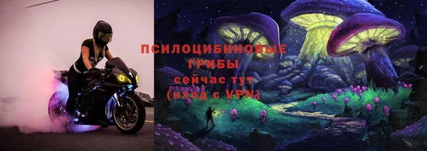 гидра Инсар