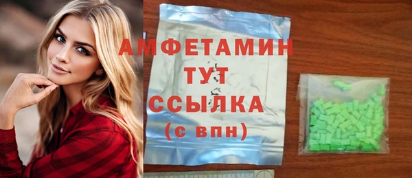 гидра Инсар