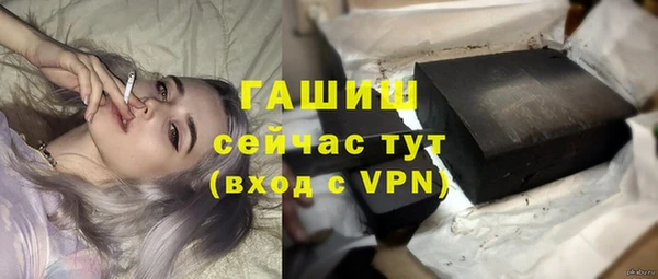 гидра Инсар