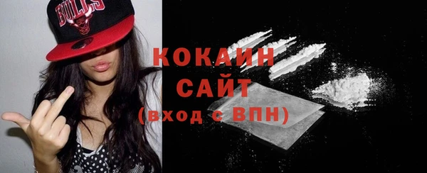 гидра Инсар