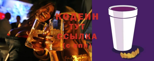 гидра Инсар