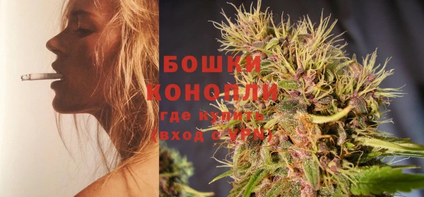 гидра Инсар