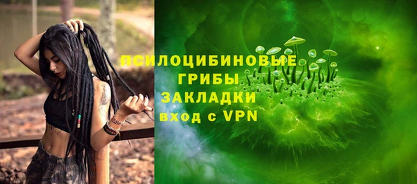 гидра Инсар