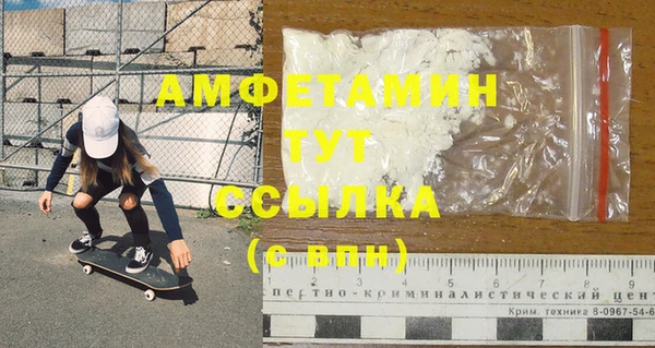 гидра Инсар
